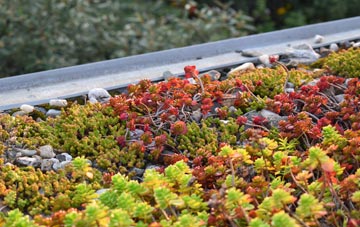 the cost of Hampden Park green roof installation