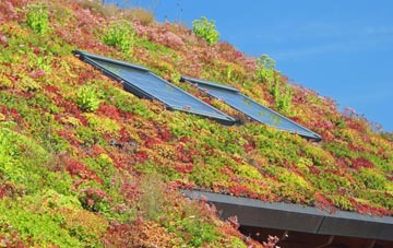 Hampden Park living roof systems