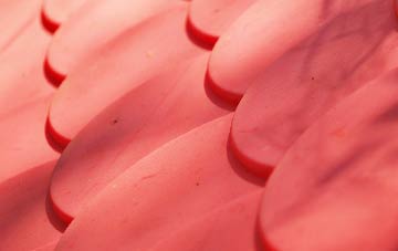 Hampden Park plastic roof costs